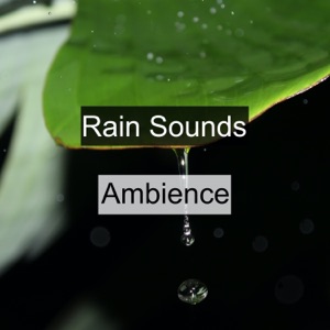 Rain Sounds Ambience