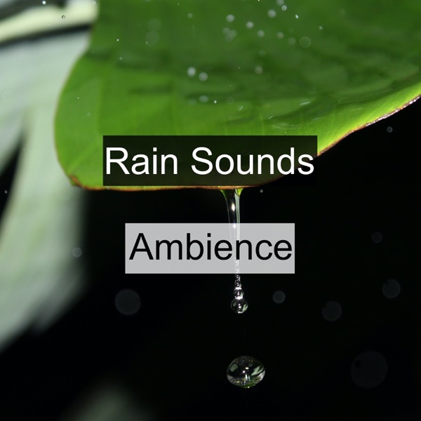 Rain Sounds Ambience