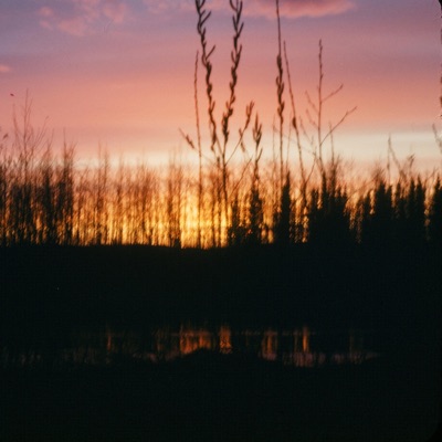 Golden Gardens - Single