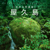 Yakushima - Natural Heritage - Nature Sound Gallery
