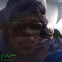 bandycoot (feat. Babyzorg, Uliss, nara & Karasu) - Single - crystalclub
