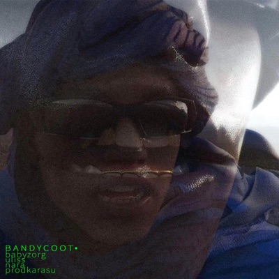 bandycoot (feat. Babyzorg, Uliss, nara & Karasu) - Single