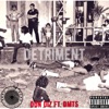 Detriment - Single (feat. DMTS) - Single