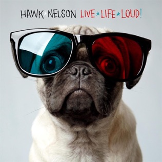 Hawk Nelson The Meaning of Life