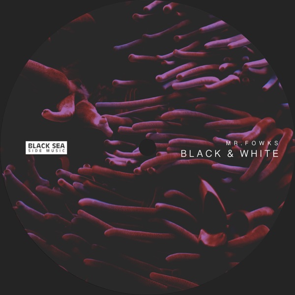Black & White - Single