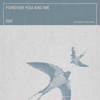 The Teskey Brothers - Forever You and Me Grafik