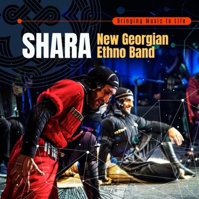 Song - Erti Mikvars - Shara