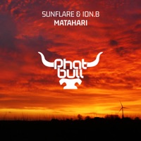 Matahari - Single - Sunflare & ion.B