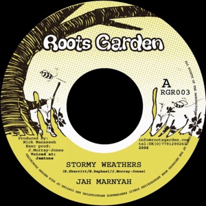 Stormy Weathers - Single