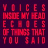Voices - Single