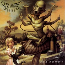 Screaming Trees - Ocean Of Confusion