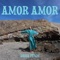 Amor Amor - Brisa Fenoy lyrics