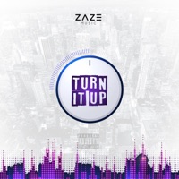 Turn It Up - Single - Zaze