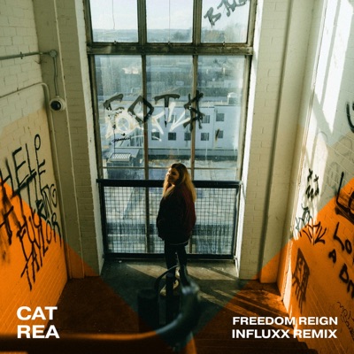 Freedom Reign (feat. Joshua Luke Smith) [Influxx Remix] - Single