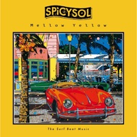 SPiCYSOL - FIREWORKS