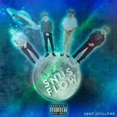 Snus Flow artwork