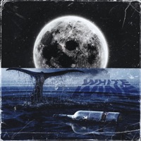 White Wine - Single - Pocky Red