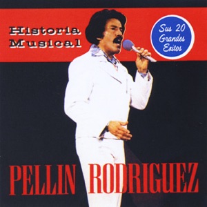 Historia Musical: 20 Grandes Éxitos