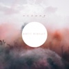 Petit Biscuit