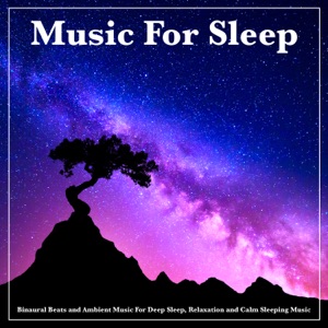 Binaural Beats Sleep Aid