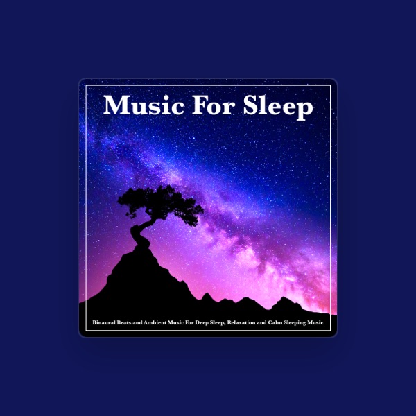 Sleeping Music Experience's avatar