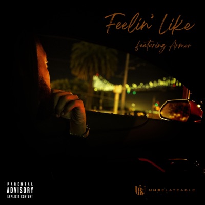 Feelin' Like (feat. Armor) - Single