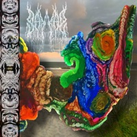 Open the Gates - Sayyas