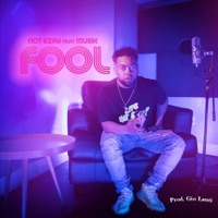 Fool (feat. Musik) - Single - Not Ezay