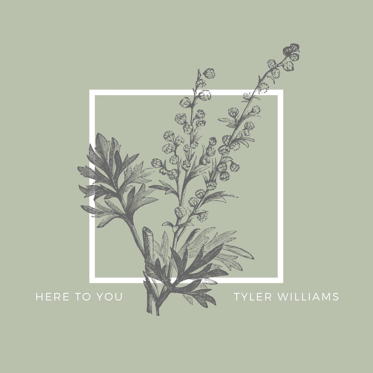 Here wills. Tyler Brown Williams.