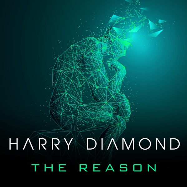 The Reason - Single