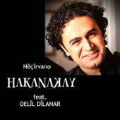 Nêçîrvano (feat. Delil Dilanar) artwork