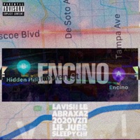 Encino (feat. Abraxaz, 2020vzn, Lil Jube & SleepyChi) - Single - Lavish LB