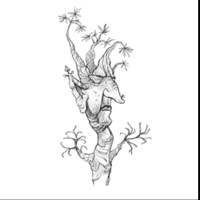 Arborist (feat. Mafuja) - Single - Kaz Kenneth