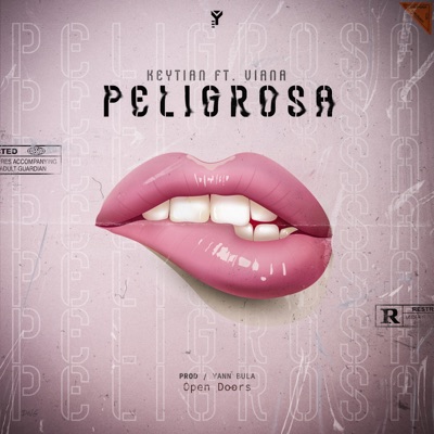 Peligrosa (feat. Viana) - Single