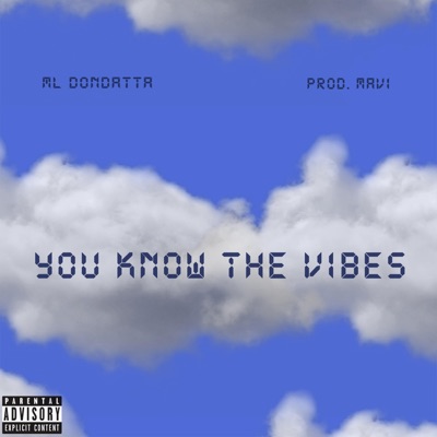 You Know the Vibes - Single