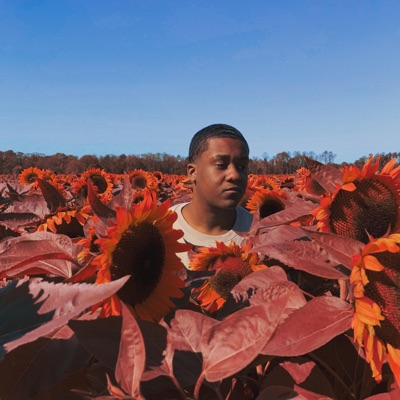 Pull Up (feat. KVN) - Single