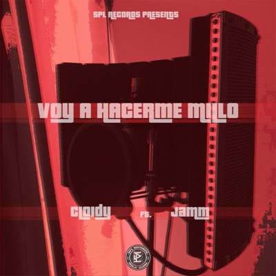 Voy a Hacerme Millo (feat. FLWJAM) - Single
