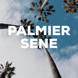 Palmier Sene
