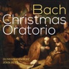 Christmas Oratorio, BWV 248, Cantata No. 2: XIII. Recit. 