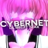 Cybernet (feat. Yzak) - Single