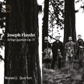 Haydn: Strings Quartets Op. 71 artwork