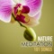 Serenity Spa Music Relaxation - Spa Music Relaxation Meditation lyrics