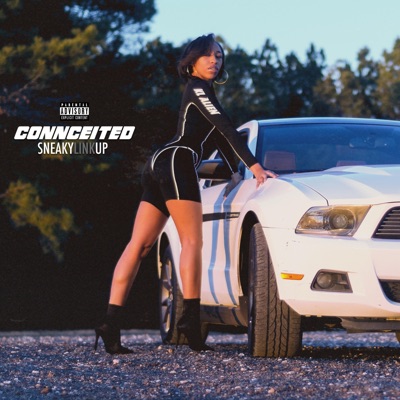 Sneaky Link Up - Single