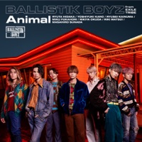 Animal - BALLISTIK BOYZ from EXILE TRIBE