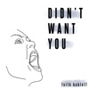 Didn't Want You - Single