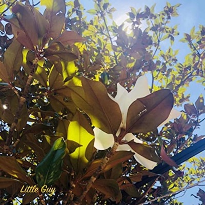Little Guy - Single