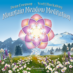 Mountain Meadow Meditation - Dean Evenson Cover Art