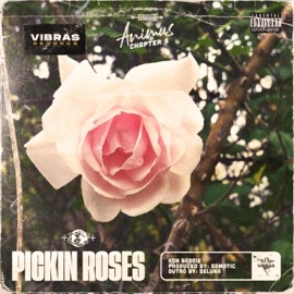 Pickin' Roses (Animus Chapter 8) Kon Boogie