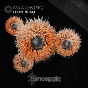 Awakening - Single