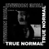 True Normal (feat. Joe Stone) - Single album cover